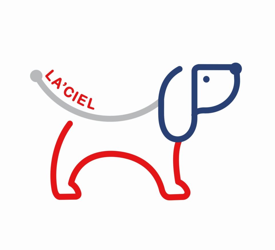 La’ciel Paris Gri Beyaz Puppy Chic Şortlu Takım