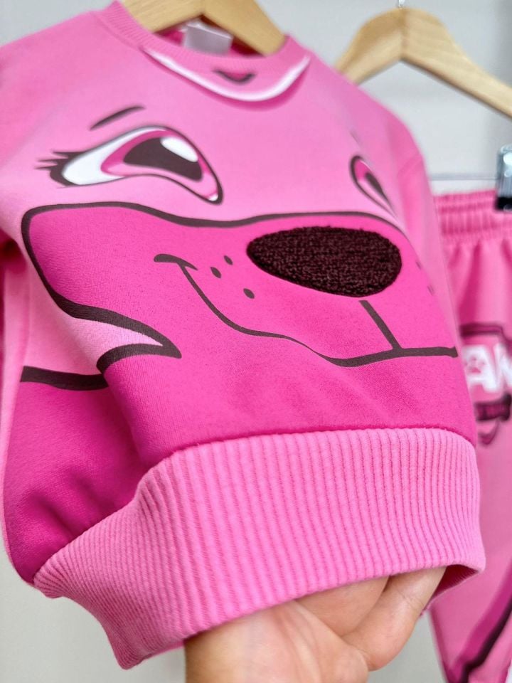 Pembe Paw Patrol Kışlık Takım
