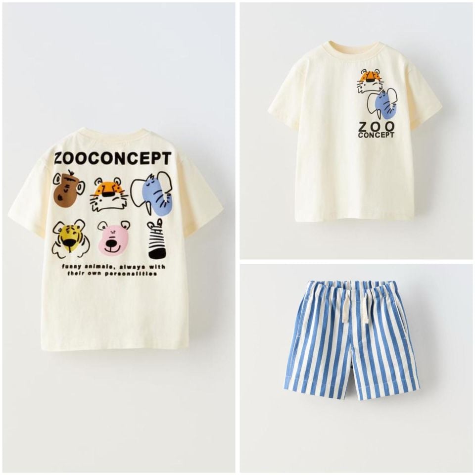 Zoo Concept Takım