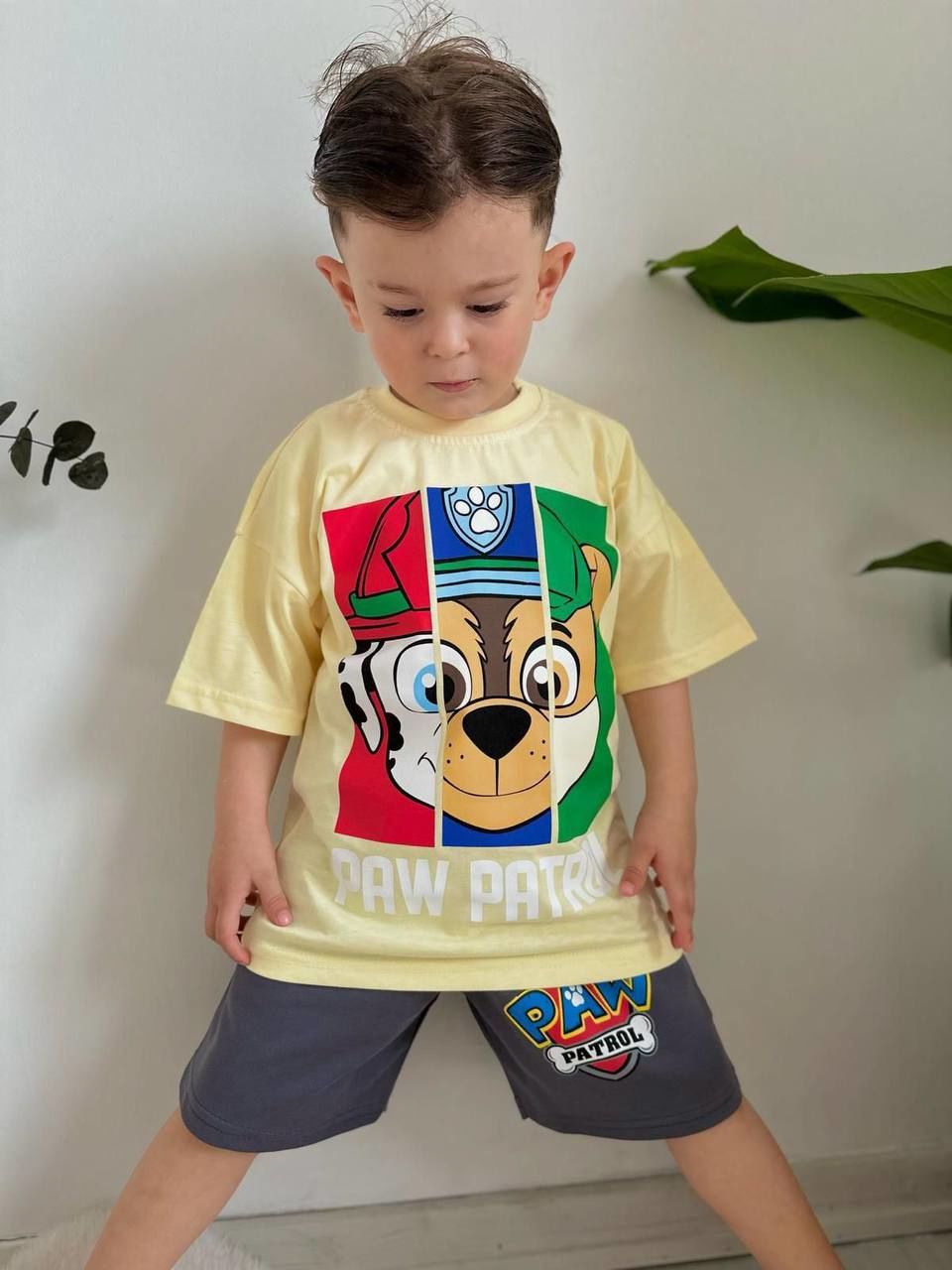 Paw Patrol Antrasit Şortlu Takım
