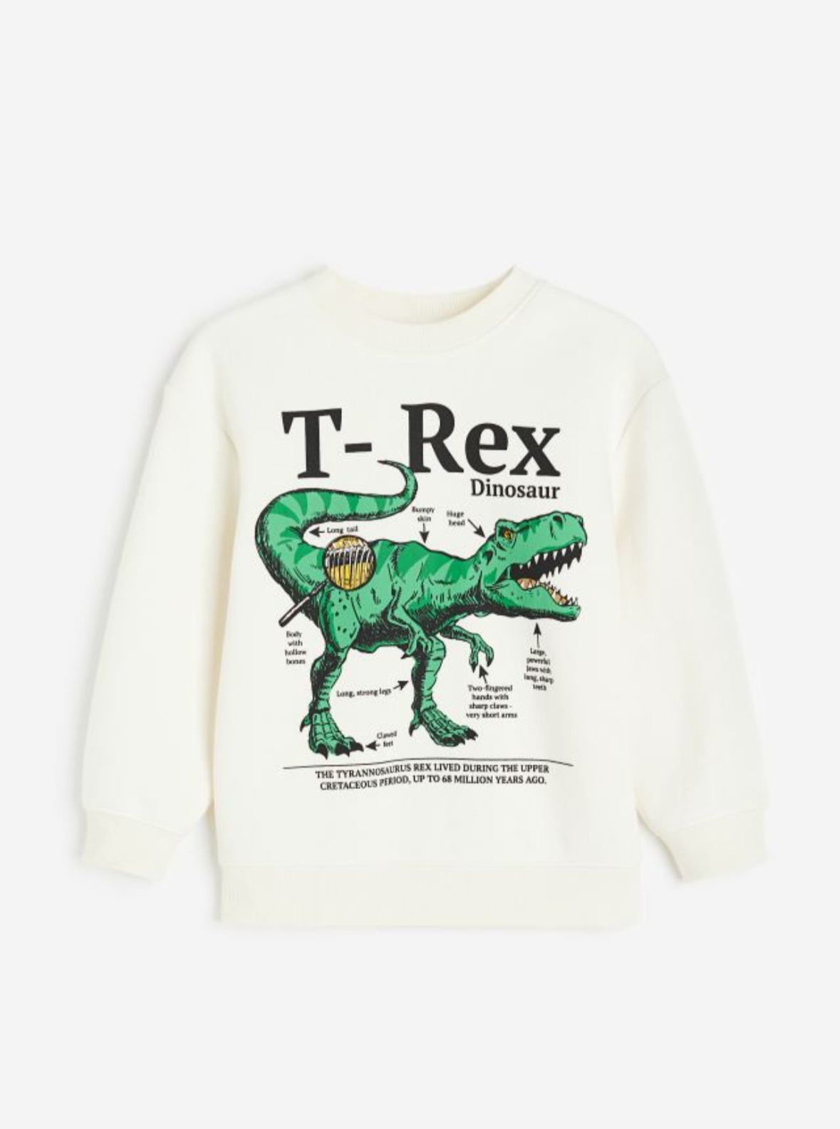 Beyaz Yeşil Trex Dinazorlu Sweatshirt