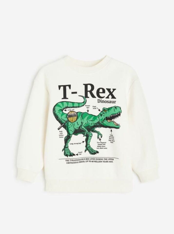Beyaz Yeşil Trex Dinazorlu Sweatshirt